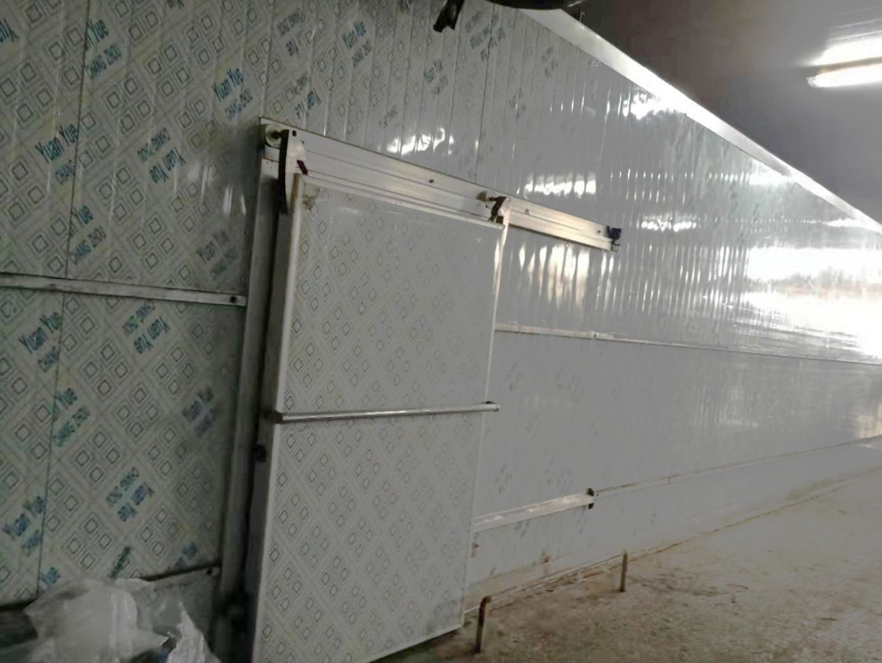 山(shān)東(dōng)榮成裙帶菜烘幹